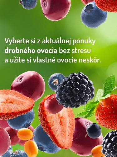 Drobné ovovcie - Stromo.sk