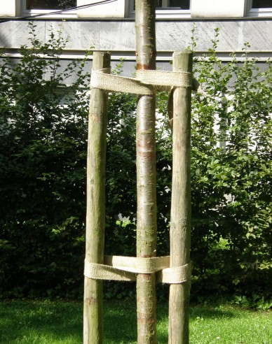 Oporný kôl s hrotom priemer  5cm - výška 250cm