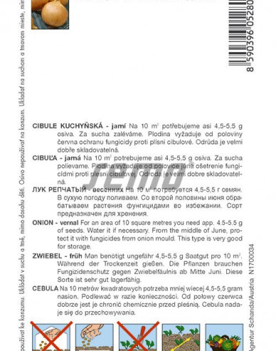 Semo Cibuľa kuchynská jarná  ´Dagmar´