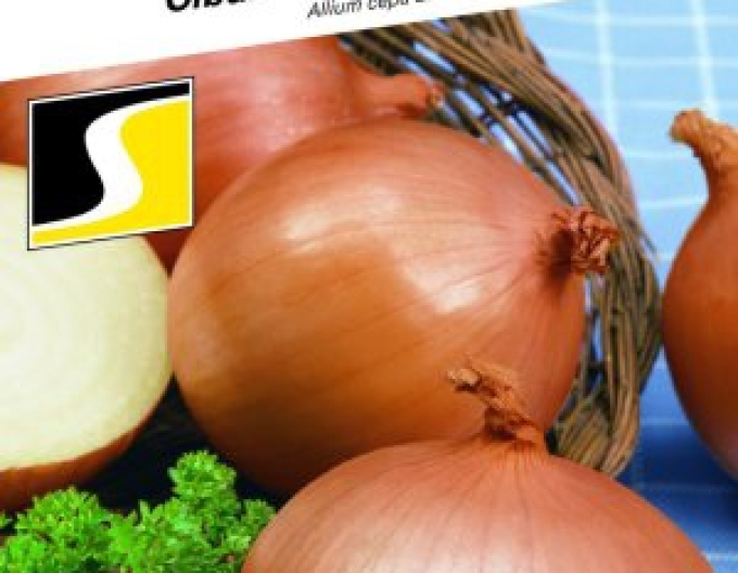 Semo Cibuľa kuchynská jarná  ´Klaria´