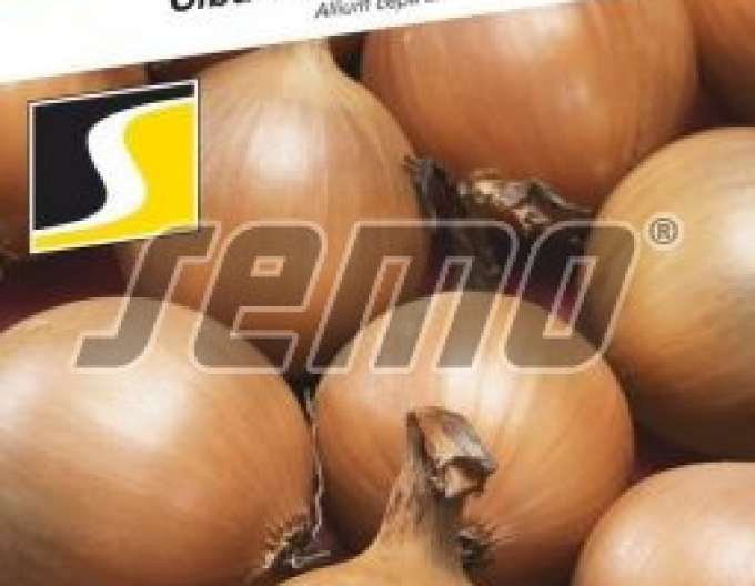Semo Cibuľa kuchynská jarná  ´Wellina´