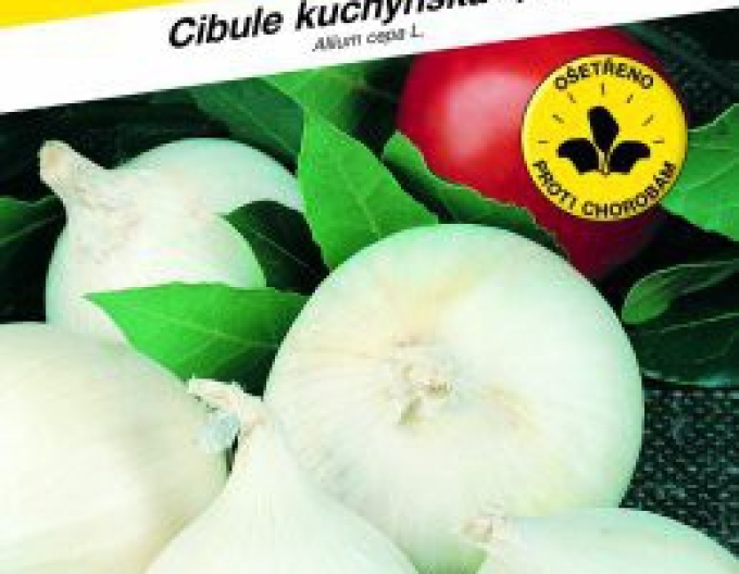 Semo Cibuľa kuchynská jarná  ´Agostana´