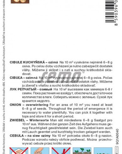Semo Cibuľa kuchynská ozimná ´Winteria´