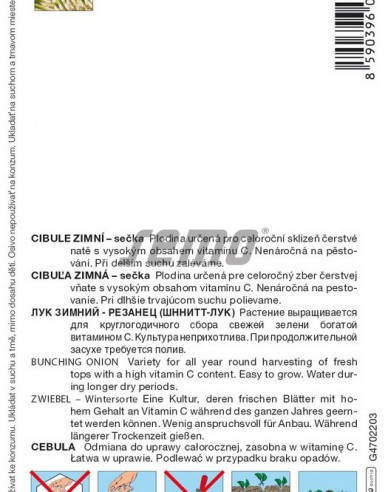 Semo Cibuľa kuchynská zimná ´Snow Queen F1´