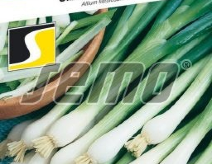 Semo Cibuľa kuchynská zimná ´Gerda´