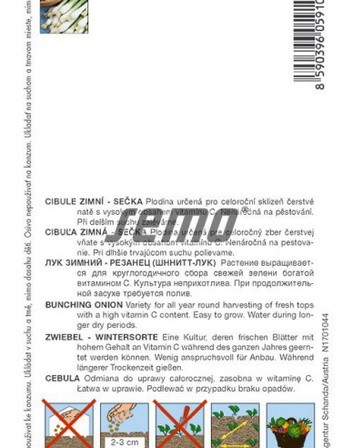 Semo Cibuľa kuchynská zimná ´Gerda´