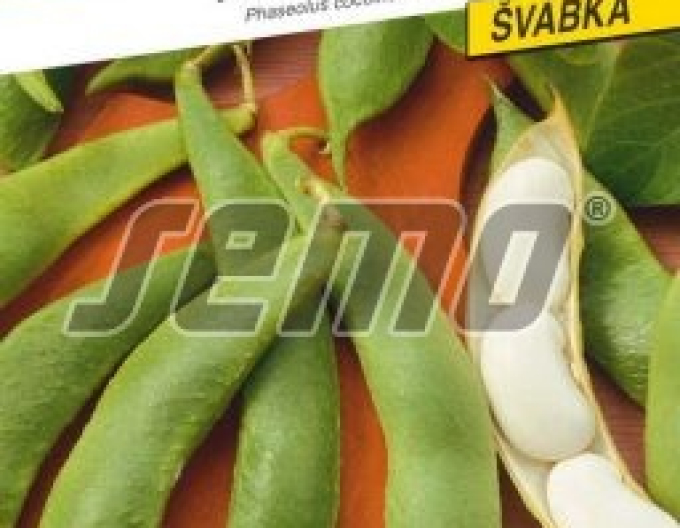 Semo Fazuľa záhradná tyčová ´Albena´