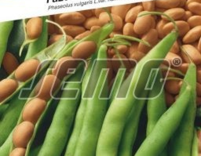Semo Fazuľa záhradná kríčkovitá ´Nugetka´