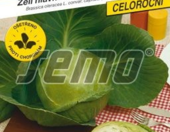 Semo Kapusta hlávková ´Minica F1´