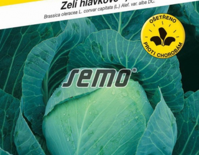 Semo Kapusta hlávková ´Zora´