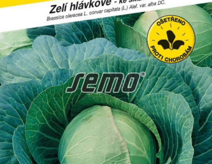Semo Kapusta hlávková ´Polar´