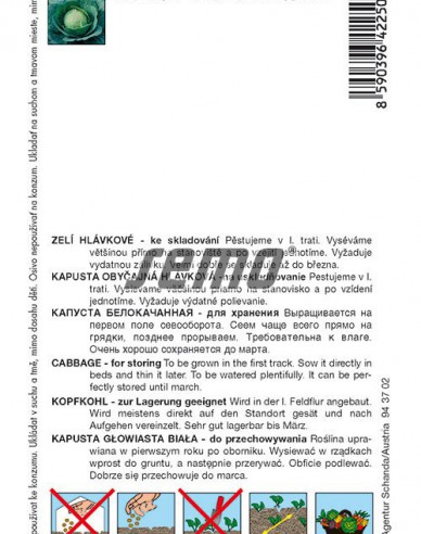 Semo Kapusta hlávková ´Polar´
