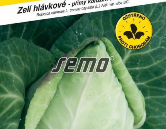 Semo Kapusta hlávková ´Murdoc F1´
