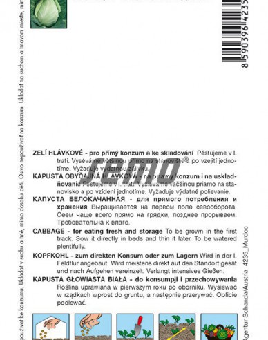 Semo Kapusta hlávková ´Murdoc F1´