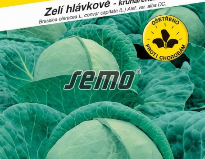 Semo Kapusta hlávková ´Pavlo F1´