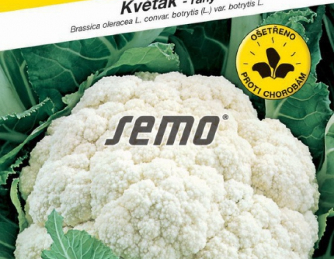 Semo Karfiol ´Bora´