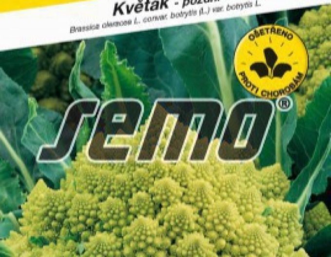 Semo Karfiol ´Veronica F1´