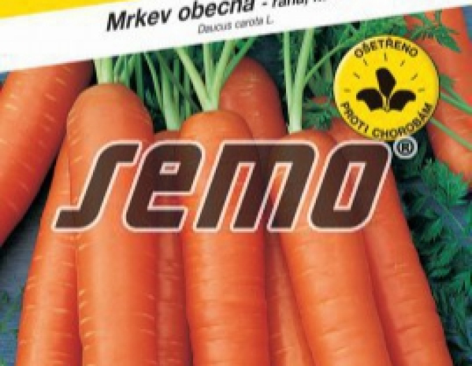 Semo Mrkva obyčajná ´Nantes 3´
