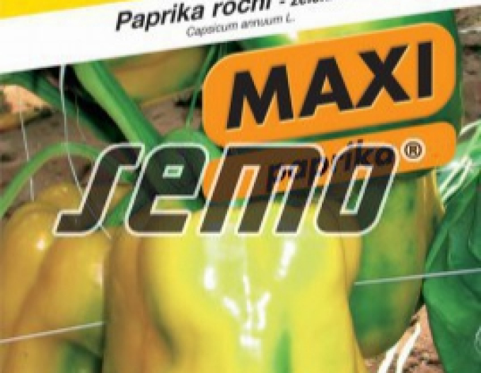 Semo Paprika ročná ´Theos F1´