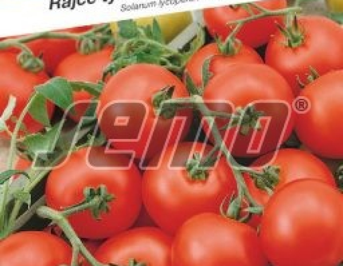 Semo Rajčiak kolíkový ´Stupické polní rané´