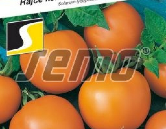 Semo Rajčiak Kríčkový ´Oranže´