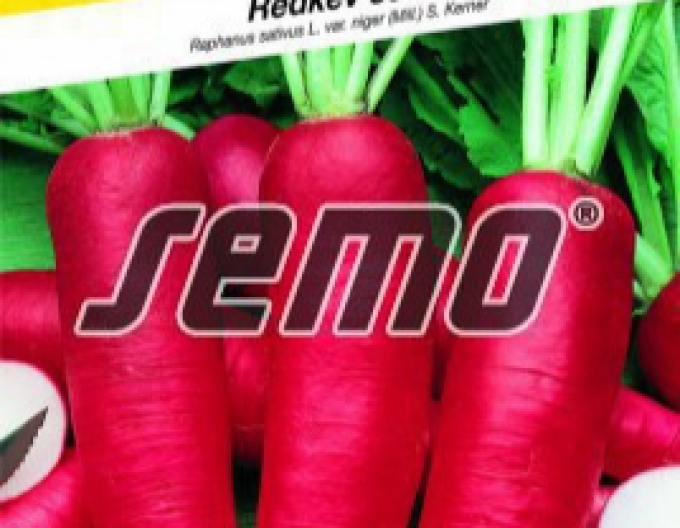 Semo Reďkovka siata ´Karmina´