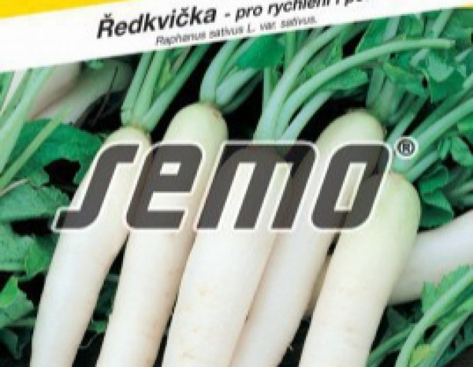 Semo Reďkovka biela ´Rampouch´