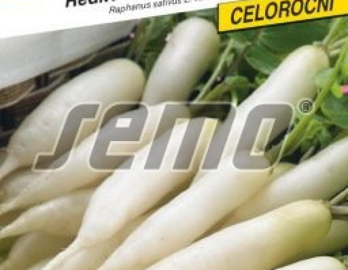 Semo Reďkovka biela ´Stalagnit F1´