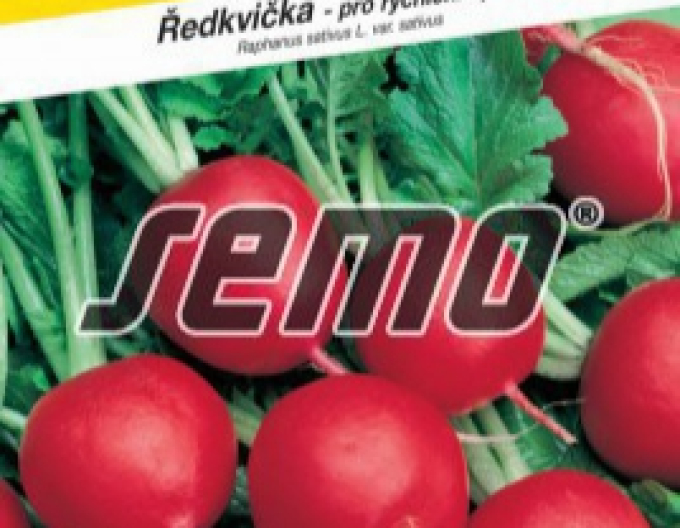 Semo Reďkovka červená ´Saxa 2´