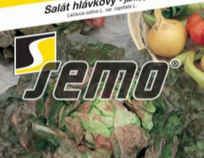 Semo Šalát hlávkový ´Červánek´