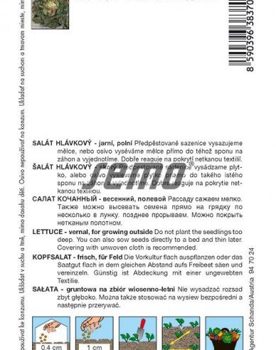 Semo Šalát hlávkový ´Červánek´