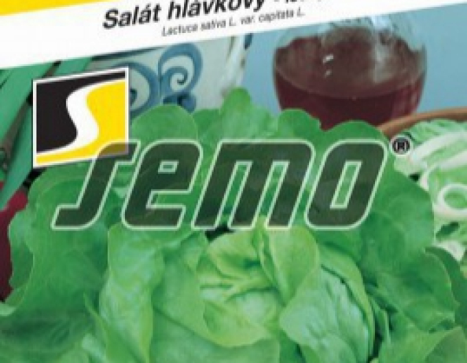 Semo Šalát hlávkový ´Mars´