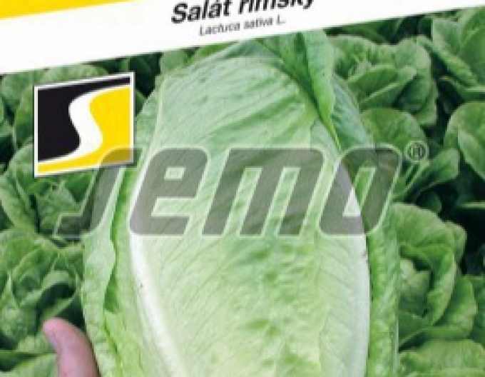 Semo Šalát rímsky ´Gelbus´