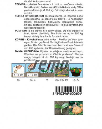 Semo Tekvica  plazivá ´Atlantic Giant´