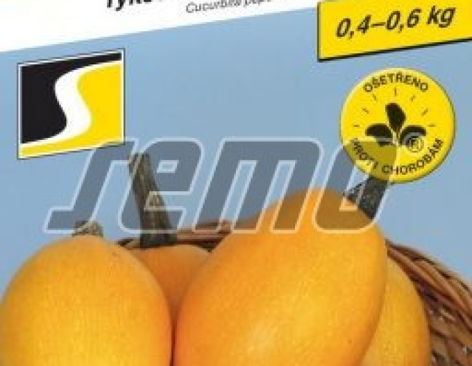 Semo Tekvica obyčajná ´Baby Spaghetti F1´
