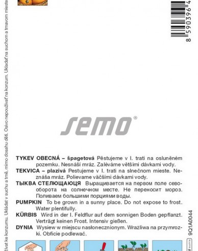 Semo Tekvica obyčajná ´Baby Spaghetti F1´