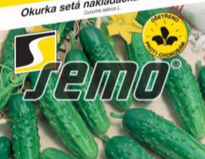 Semo Uhorka siata nakladačka ´Regina F1´