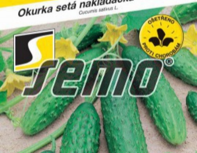 Semo Uhorka siata nakladačka ´Bára F1´