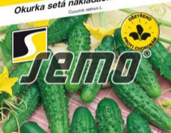 Semo Uhorka siata nakladačka ´Bohemia F1´