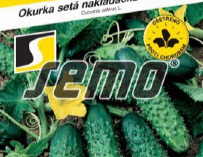 Semo Uhorka siata nakladačka ´Chantal F1´