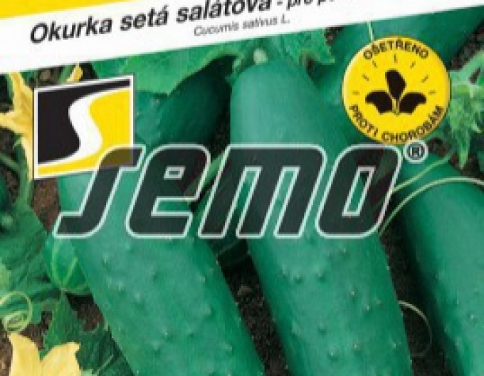 Semo Uhorka siata šalátová ´Cheer F1´