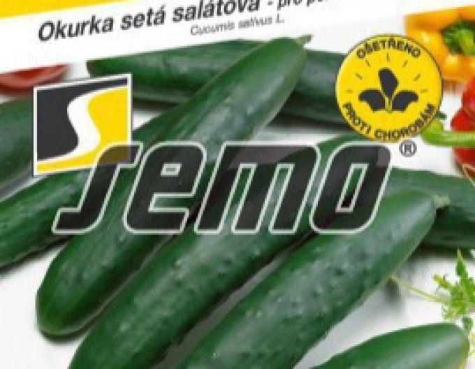 Semo Uhorka siata šalátová ´Amanda F1´