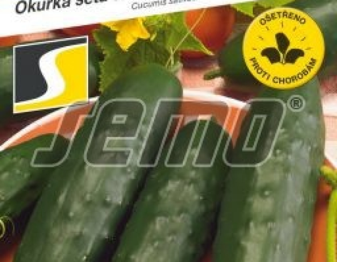 Semo Uhorka siata šalátová ´Marlen F1´