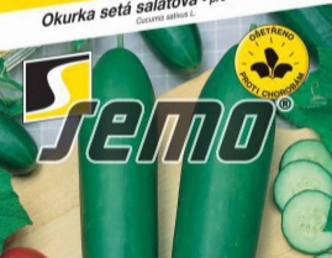 Semo Uhorka siata šalátová ´Livie F1´