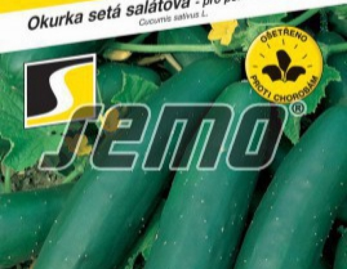 Semo Uhorka siata šalátová ´Lili F1´
