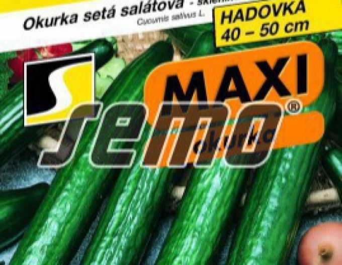 Semo Uhorka siata šalátová ´Orca F1´