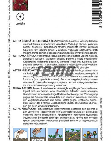Semo  Astra čínska ´Červená´