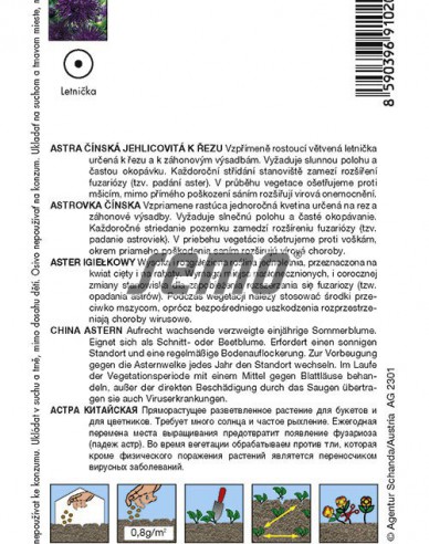 Semo  Astra čínska ´Modrá´