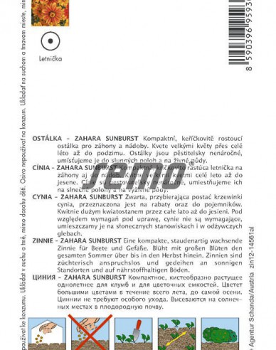 Semo Cínia ´Zahara Sunburst´