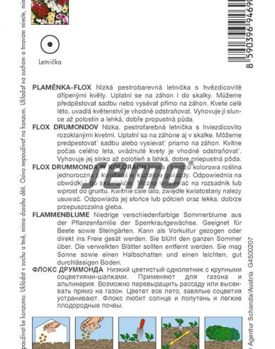 Semo Flox drummondov ´Beauty´